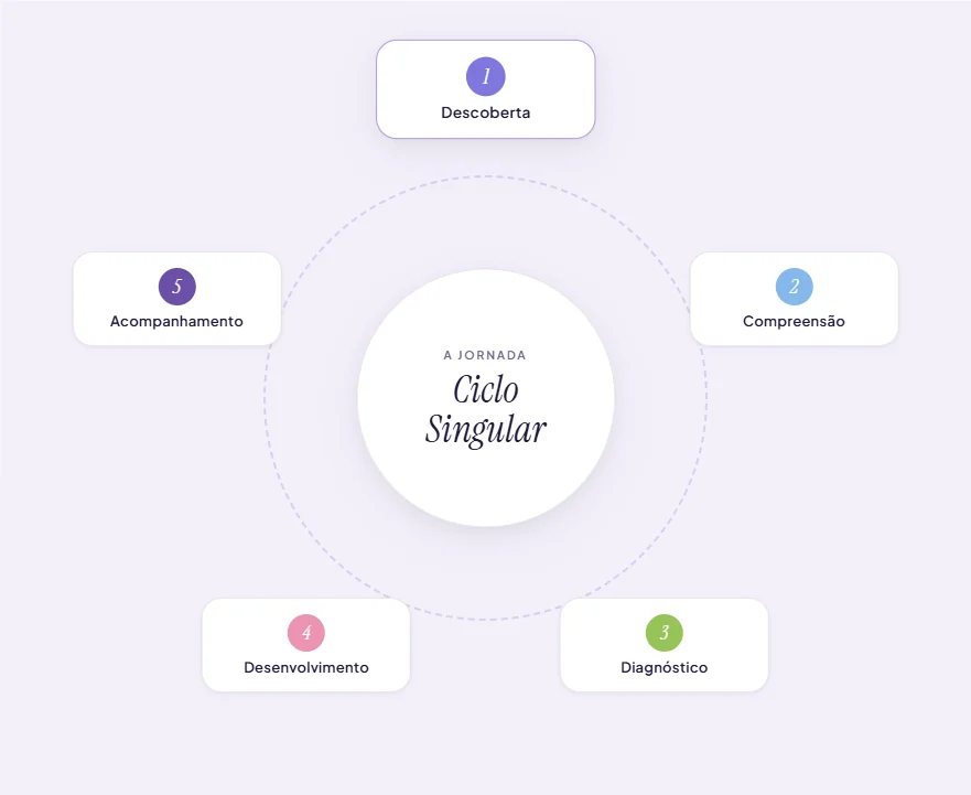 Diagrama circular do Ciclo Singular com 5 pilares